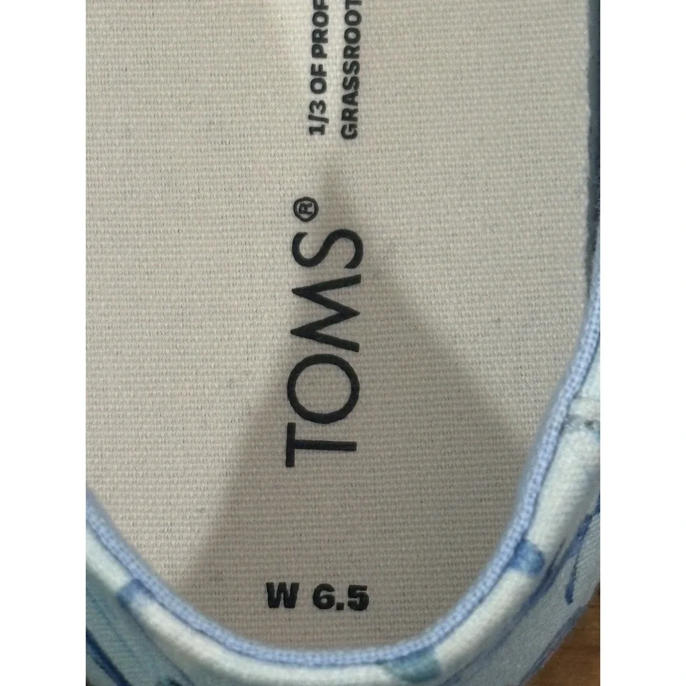 Toms blue dolphins